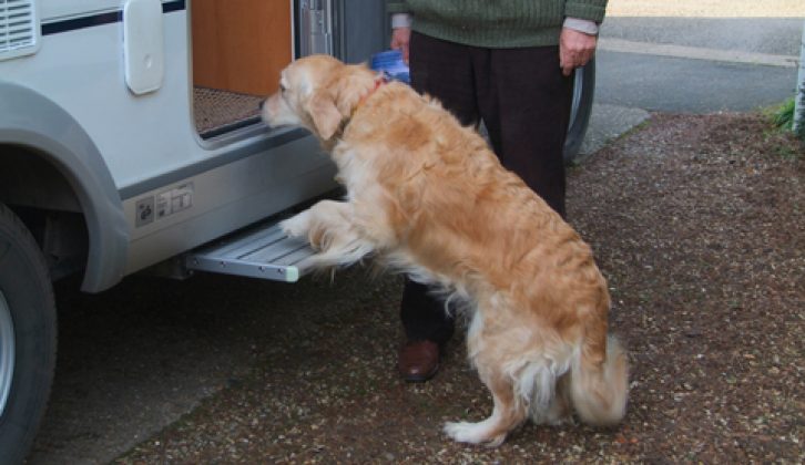 2006 Hymer Van - electric step and golden retriever
