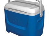 Igloo Island Breeze, 26 litres coolbox review