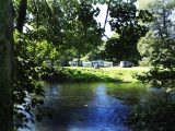 Camping in the Forest 25% off grass pitches 2013 offer