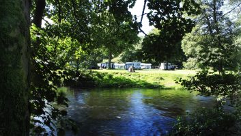 Camping in the Forest 25% off grass pitches 2013 offer