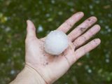 Hailstones the size of golf balls caused severe damage to motorhomes