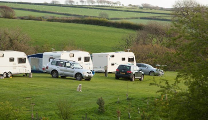 Dogs are welcome at our Practical Caravan Reader Rally