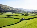 Swaledale is stunning on two or four wheels, or on foot – discover it on your next motorhome holiday in Yorkshire