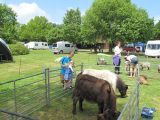 Family holidays in your motorhome or campervan are a great chance for children to explore the great outdoors
