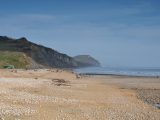 Discover the Dorset coast, such as Charmouth beach, when visiting Setley Ridge Vineyard on your out of season motorhome tour