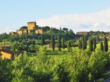 Tour Italy in your 'van and in Tuscany take in the luscious landscape, filled with vineyards and olive groves, and dotted with architectural gems