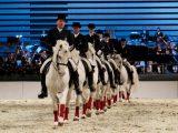 Internationally renowned, the Lipizzaner horses give spectacular performances, the breed taking its name from the Slovenian village of Lipica