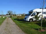 We loved the spacious pitches divided by willow hedges at Daisy Cottage Campsite and Retreat near St Ouen in Jersey