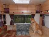 The guard dog and owners are enjoying life on the road in the Bailey Approach 625 SE