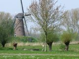 Windmills and canals are what many tourists expect – and Holland delivers!