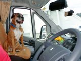 Many motorcaravanners tour with their dogs, but think carefully about how you accommodate them – and read our expert guide