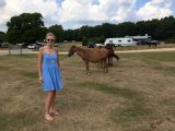 New Forest ponies wander freely round The Camping and Caravanning Club's Camping in the Forest Roundhill Campsite