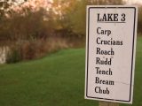 With seven lakes to enjoy, those who love fishing will be spoilt for choice when pitched at Eye Kettleby Lakes