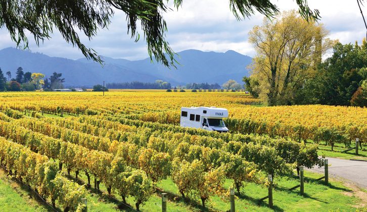 You can enjoy wine-tasting in the Cloudy Bay vineyard in Blenheim, New Zealand