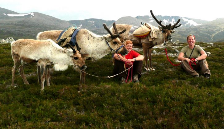 Head to the Highlands with your Valentine and feed reindeer when you visit Scotland