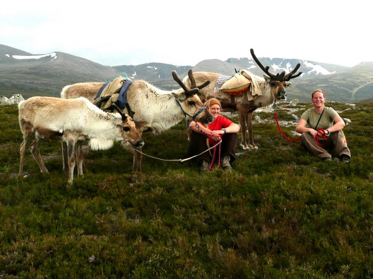 Head to the Highlands with your Valentine and feed reindeer when you visit Scotland