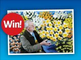 We have five pairs of tickets to give away for The Harrogate Flower Show