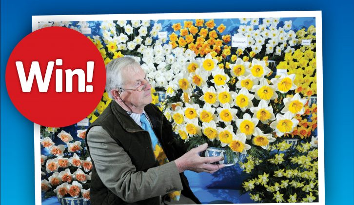 We have five pairs of tickets to give away for The Harrogate Flower Show