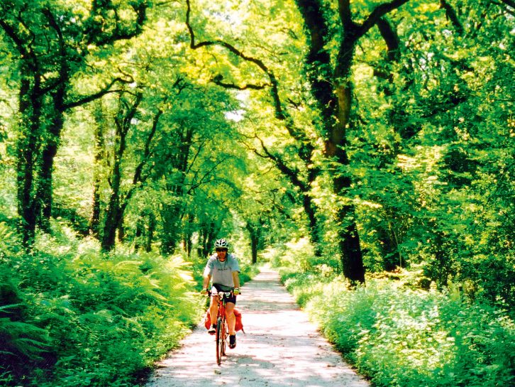 We select 10 great sites that are perfectly placed for idyllic bike routes – like the Camel Trail!