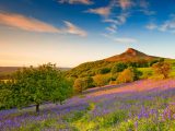Let the North York Moors take your breath away this spring – or indeed any time of the year