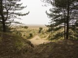 Visit Norfolk for your Easter holidays and wander around Holkham Nature Reserve