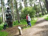Cyclists will love Cannock Chase Forest in Staffordshire, plus there's plenty for the kids