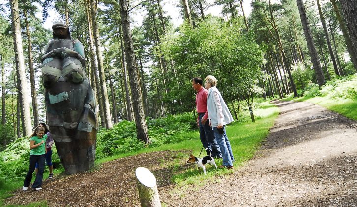 Cyclists will love Cannock Chase Forest in Staffordshire, plus there's plenty for the kids