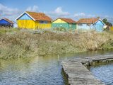 Look out for oyster farms and fish locks on the Île d’Oléron