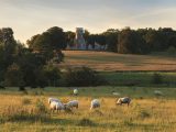 See Capability Brown's gardens and the folly at Wimpole Hall