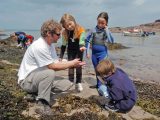 Go foraging in the rock pools and teach children to fish during Pembrokeshire's Fish Week