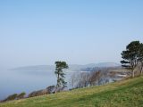 Touring Morecambe Bay and the Lake District gives plenty of chances to spot wildlife