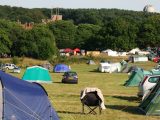 Take advantage of the on-site camping at England's Medieval Festival