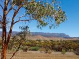 Paul took in the Flinders Ranges in South Australia as part of his epic adventure