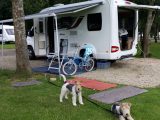 The Swift Rio proved to be the perfect ’van – dogs Jack and Poppy certainly wouldn't disagree!