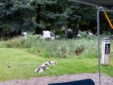 Relaxing at the Caravan and Motorhome Club's Wharfdale site, the second stop of the trip