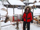 Reindeer rides are de rigueur at the Santa Claus Holiday Village