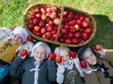 Visit Warwickshire and celebrate National Apple Day this October