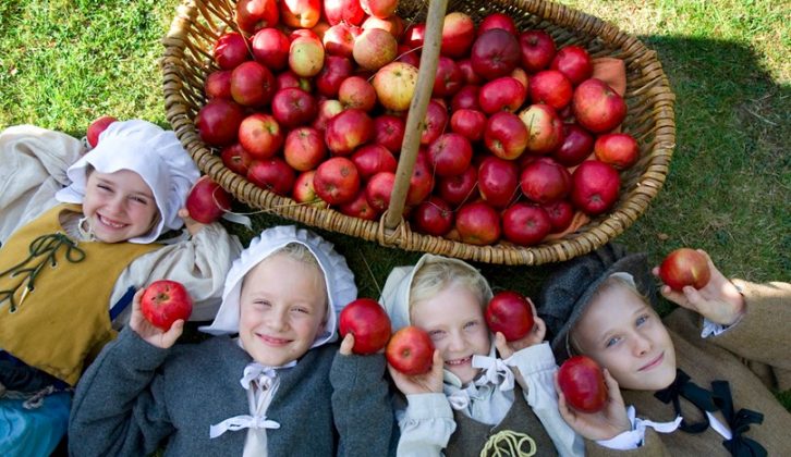 Visit Warwickshire and celebrate National Apple Day this October