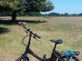 We tested the bike out on the hills of Richmond Park and it performed commendably, with smooth gear transitions and a great boost of power from the battery