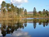 There are plenty of walks nearby, with stunning scenery and small lochs