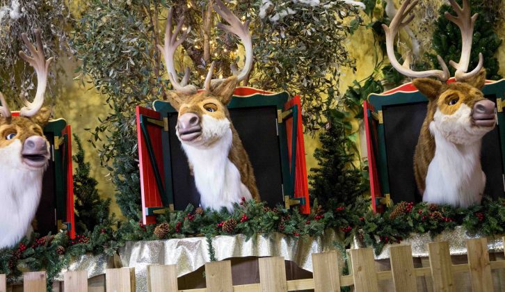 Visit the hilarious singing reindeer while on a visit to Trentham Estate this festive season