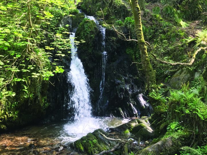 Aberfforest Waterfalls