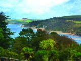 Fabulous views over Salcombe from Overbeck's gardens