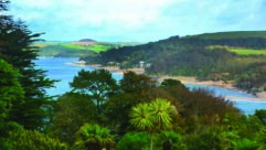 Fabulous views over Salcombe from Overbeck's gardens