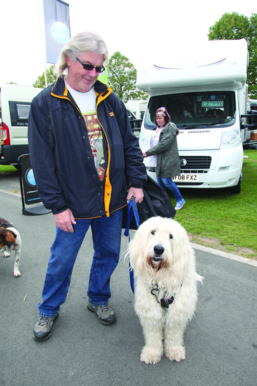 Dogs and motorhomes are a great combination!