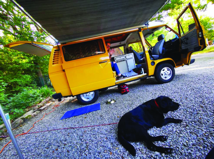 Our canine friends are happy to use the shade of an awning in the hot summer months