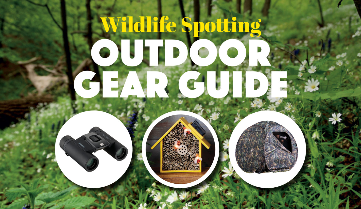Wildlife Spotting Outdoor Gear Guide Practical Motorhome