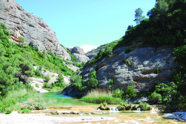 Els Ports Natural Park in Spain, where it's possible to see griffon vultures