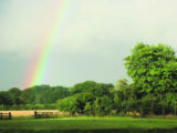 After the storm, the rainbow - beautiful view from the site at Common Leys Farm