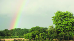After the storm, the rainbow - beautiful view from the site at Common Leys Farm